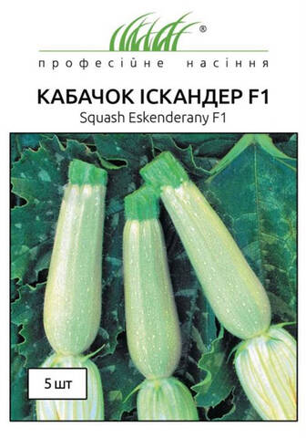 Насіння кабачка Іскандер F1 5 шт (Професійне насіння) отзывы