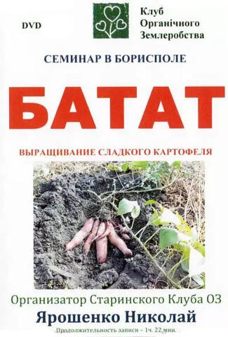 Батат - вирощування солодкої картоплі недорого