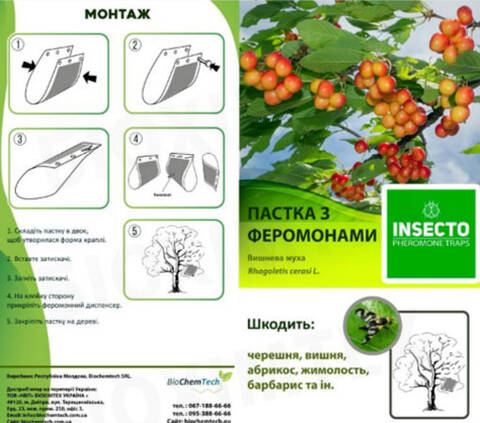 Феромонна пастка для вишневої мухи - фото №1 Феромонна пастка для вишневої мухи Купити