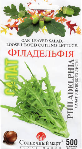 Насіння салату Філадельфія 500 шт (Сонячний Березень) - фото №1 Насіння салату Філадельфія 500 шт (Сонячний Березень) стоимость