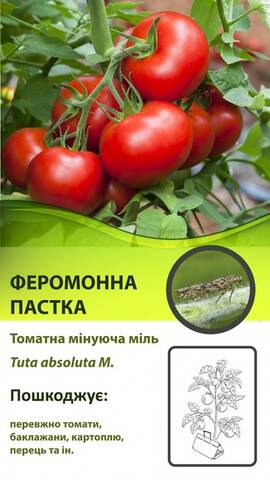 Феромонна пастка для томатної мініуючої молі (тути абсолюти) мудрый-дачник