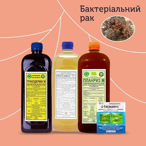 Бакова суміш від бактеріального раку на яблуні, винограді та ін. стоимость