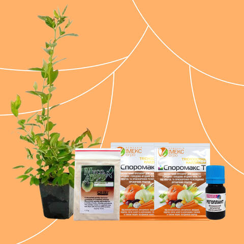 Набір для посадки саджанців з мікоризою - фото №1 Набір для посадки саджанців з мікоризою в интернет-магазине