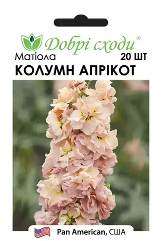 Насіння матіоли Колумн Апрікот (Column Apricot) - фото №1 Насіння матіоли Колумн Апрікот (Column Apricot) описание