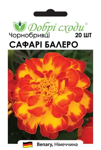 Насіння чорнобривців Сафарі Балеро (Safari Balero) - фото №1 Насіння чорнобривців Сафарі Балеро (Safari Balero) недорого