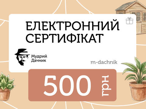 Подарунковий електроний сертифікат - фото №1 Подарунковий електроний сертифікат описание