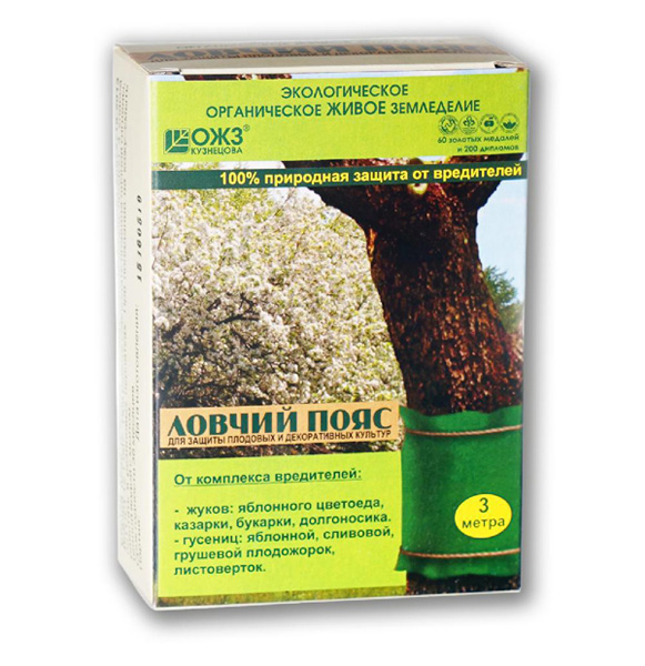 Как сделать ловчий пояс своими руками: 3 способа защиты плодовых деревьев от насекомых